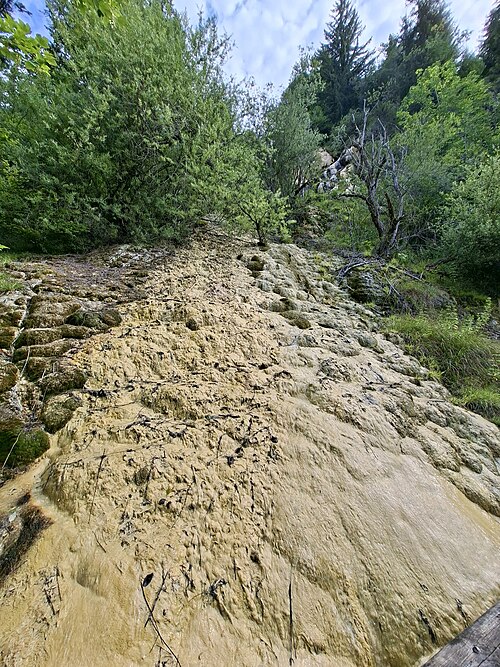 Datei:Lingenau-limestone tuff-05ASD.jpg