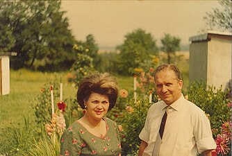 Ein Grundstück in Kaisersteinbruch seit 1968