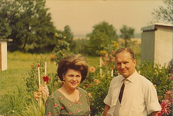 Ein Grundstück in Kaisersteinbruch seit 1968