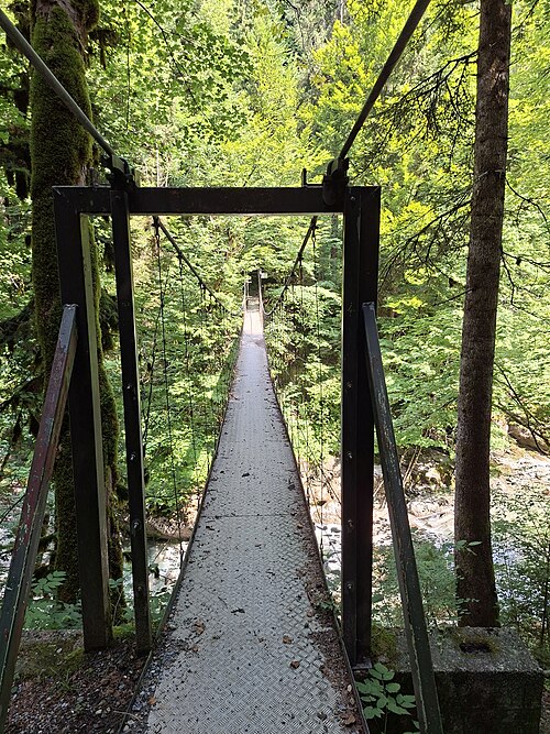 Datei:Lingenau-Egg-suspension pedestrian bridge-Drahtsteg-04ASD.jpg