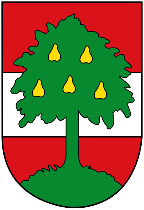 Datei:Wappendornbirn.svg