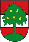 Das Wappen der Stadt Dornbirn in der aktuellen Fassung