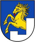 AUT Bramberg am Wildkogel COA.svg