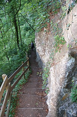 Fallenkobelweg im Bereich Altach