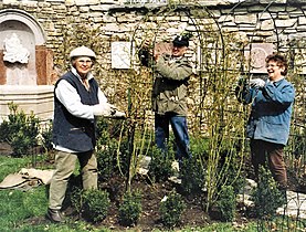 Arbeit im Rosengarten, Anni, Hilda und Fritz