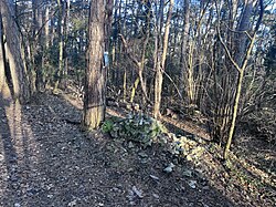 Die weitgehend zerstörte Rodauner Waldandacht am 26. Dezember 2024