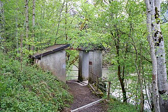 Hittisau-Rope suspension bridge-Bolgenach-43ASD.jpg