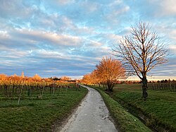 Weg In den Gabrissen Blickrichtung Osten.