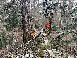 Rodauner Waldandacht 2023