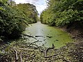 Abschließender Teich - dieser hat einen Zugang vom Orasteig.