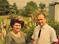 Alfred und Anni Furch im Garten in Kaisersteinbruch, um 1970