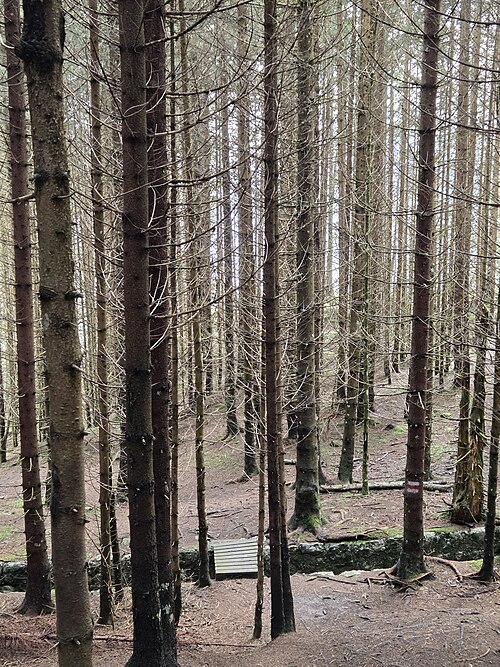 Datei:Buerserberg-Russenkanal (canal)-03ESD.jpg