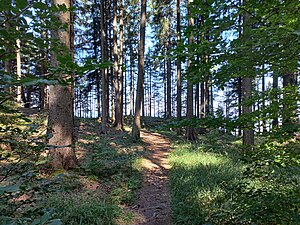 Blick von Hohe Lug (Berg) zum Aussichtspunkt Hohe Lug