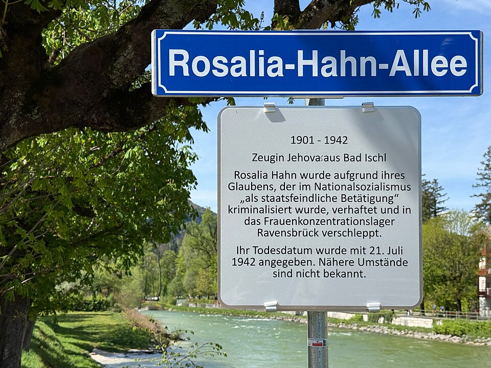 Datei:2025-04-20 Rosalia-Hahn-Allee img01.jpg