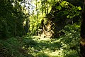 Im Götzner Bereich des Fallenkobelweges