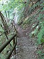 Blick in Richtung des Hohenemser Teils des Weges